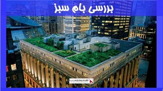 بررسی بام سبز