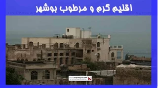 بررسی اقلیم گرم و مرطوب بوشهر