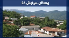 پروژه روستای سیاوش کلا