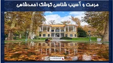 پروژه مرمت و آسیب شناسی کوشک احمدشاهی