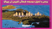 بررسی و تحلیل مجموعه فرهنگی تفریحی تی جیبائو