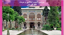 آسیب شناسی و مرمت کاخ گلستان 